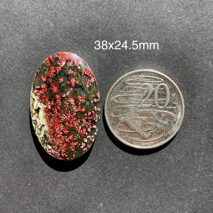 ‘Flower Portrait’ Red/Green Moss Agate Cabochon Smooth - 38x24.5mm (W2)