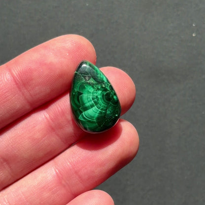 ‘Half Bloom' Chatoyant Velvet Malachite Teardrop Cabochon - 22mm x 14.5mm (W17)