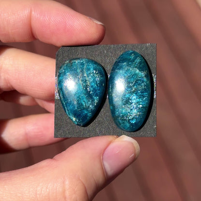 23-27mm Neon Blue Apatite (Chatoyant) Cabochon Smooth - Choose your Stone (W5)