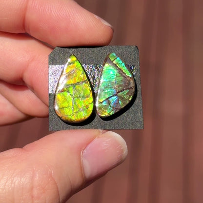 17-19mm Canadian Ammolite Cabochon Smooth - Choose your Stone (W6)